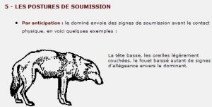 soumission